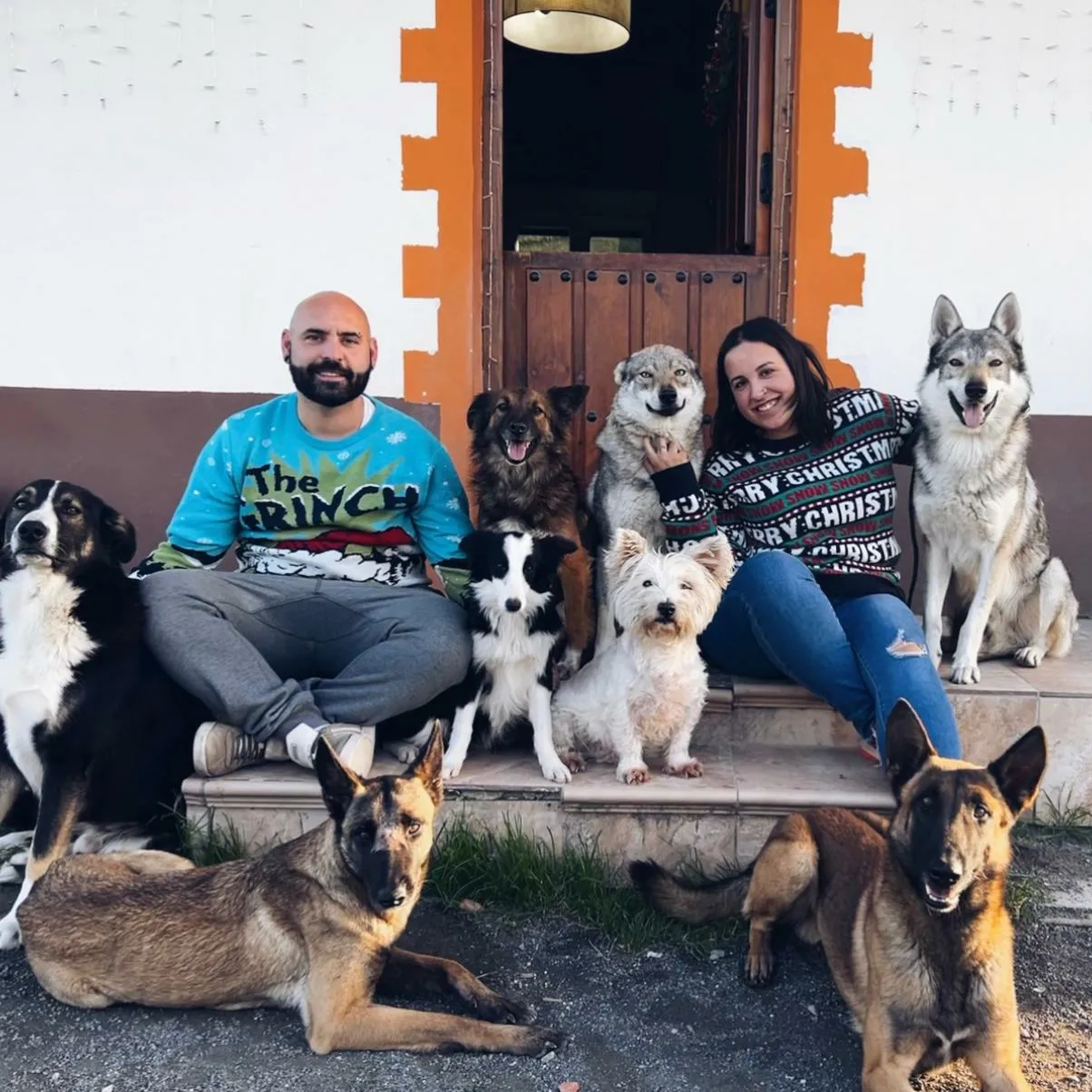 Adiestramiento canino en Cantabria, Bizkaia y málaga