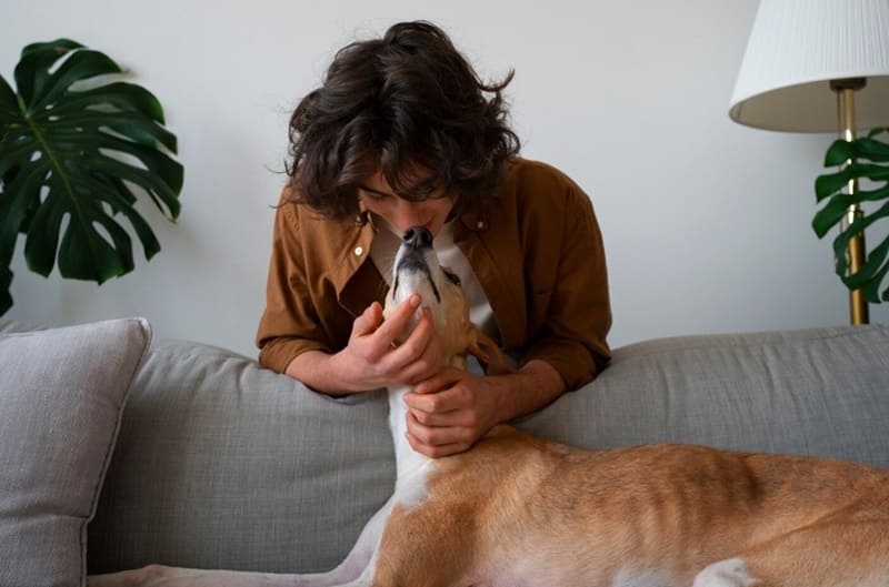 Calmar ansiedad canina