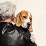 Estimulación mental perros mayores