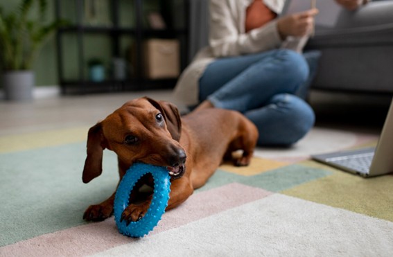 actividades para días lluviosos