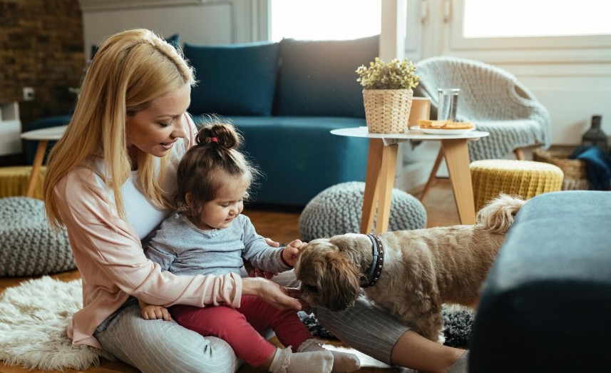 convivencia perros y niños en casa