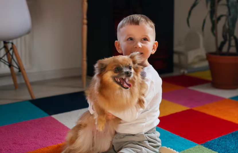 Juegos con perros y niños