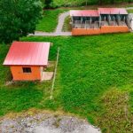 Cuándo es mejor acudir a una residencia canina