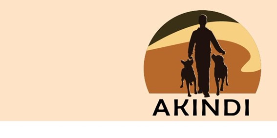 Akindi logo